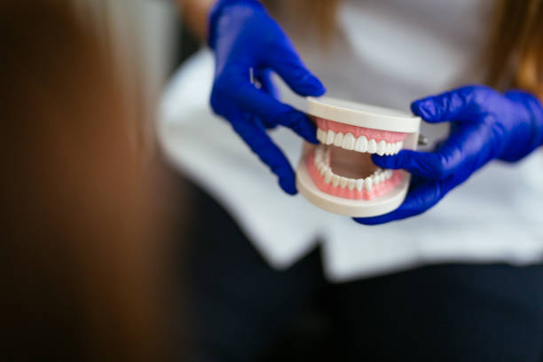  Progreso, TX Holistic Dental Services Pros